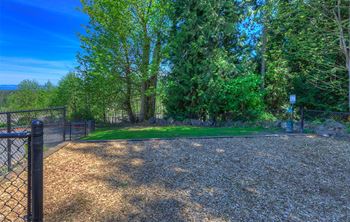 Dog park